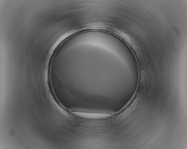 X0000113301331200910051034