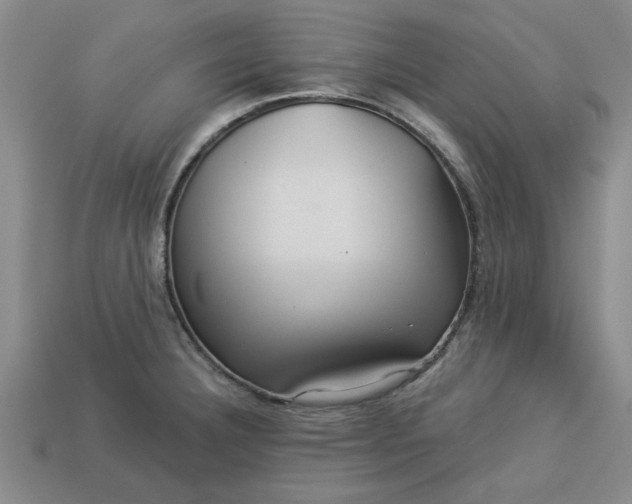 X0000113301332200910051034