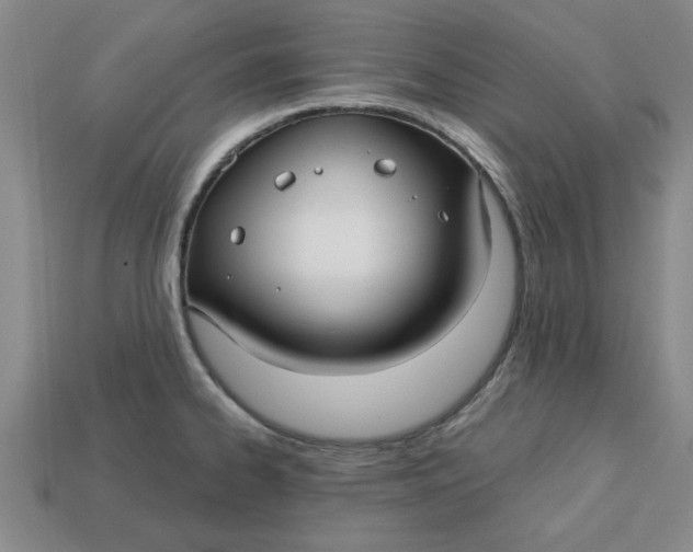 X0000113301334200910051034