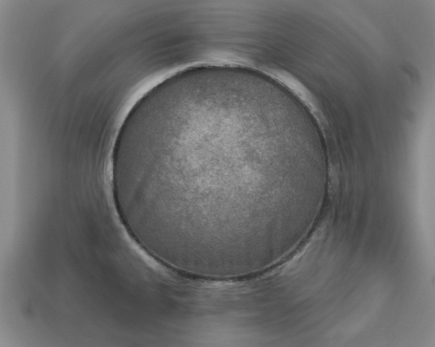 X0000113301335200910051034