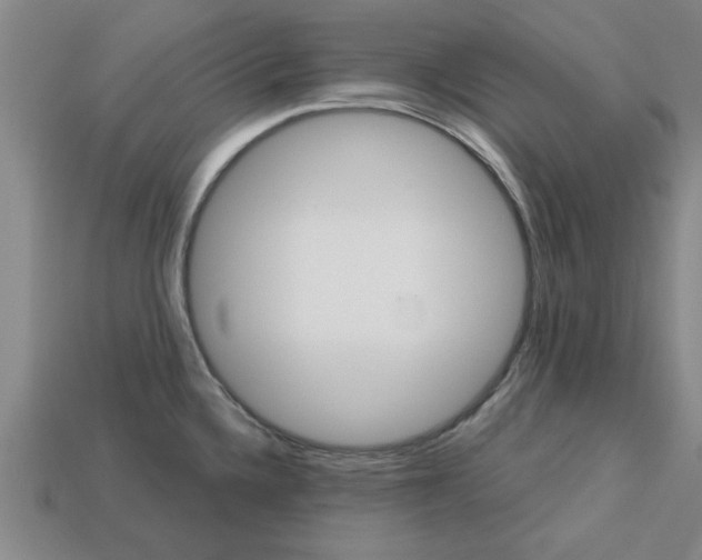 X0000113301336200910051034