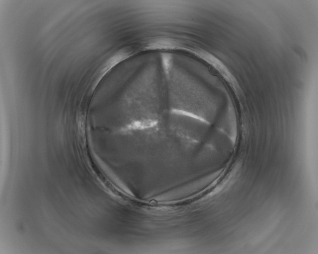 X0000113301337200910051034