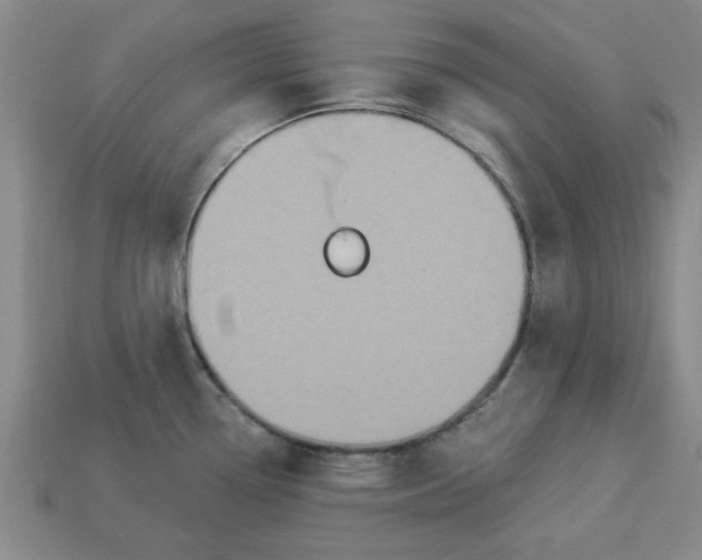 X0000113301338200910051034