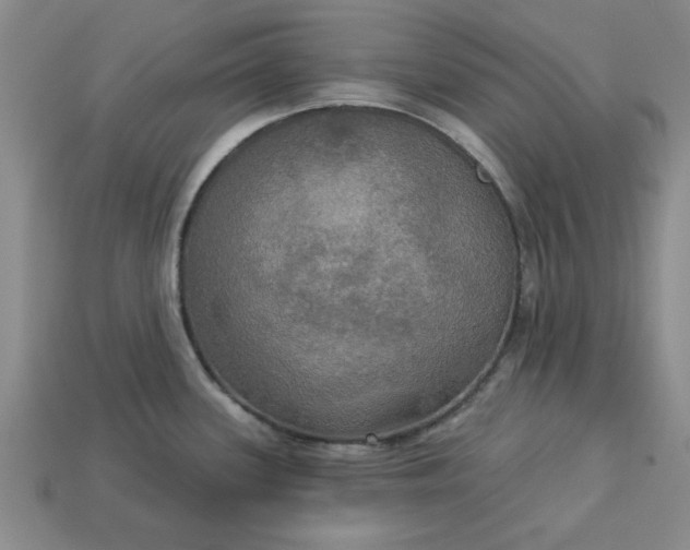 X0000113301339200910051034