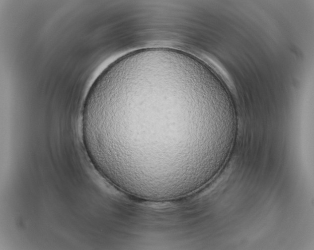 X0000113301340200910051034