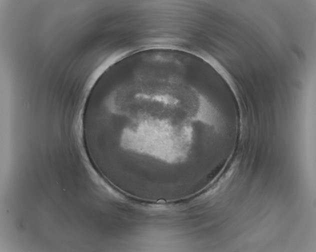 X0000113301341200910051034