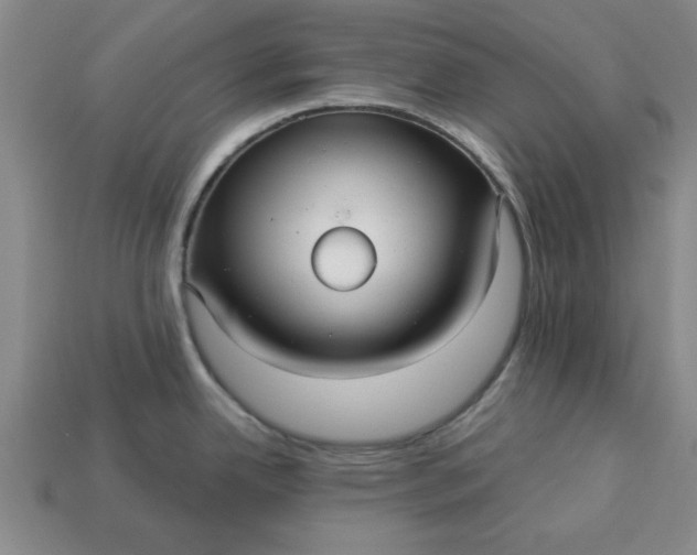 X0000113301342200910051034