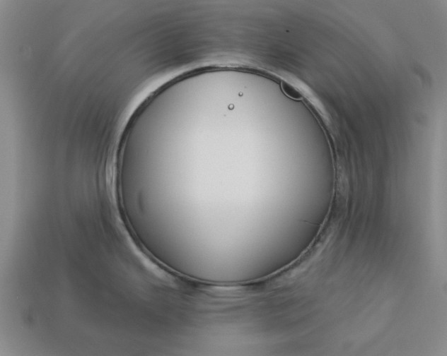 X0000113301343200910051034