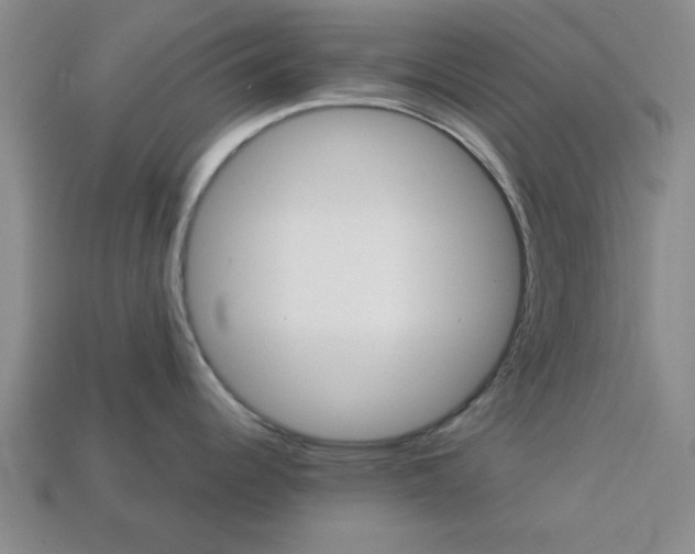 X0000113301344200910051034