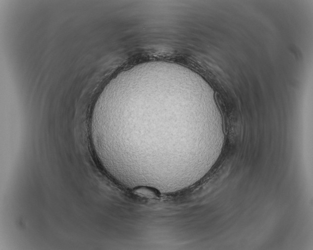 X0000113301345200910051034