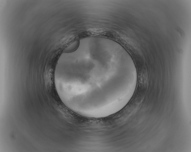 X0000113301346200910051034