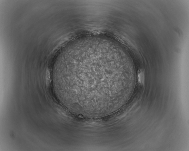 X0000113301347200910051034