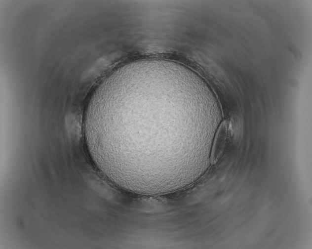 X0000113301348200910051034