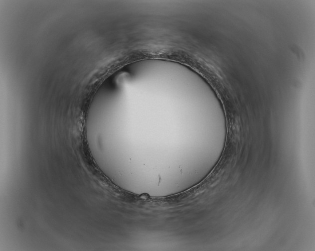 X0000113301349200910051034