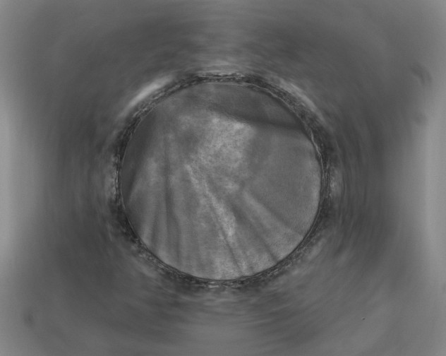 X0000113301350200910051033