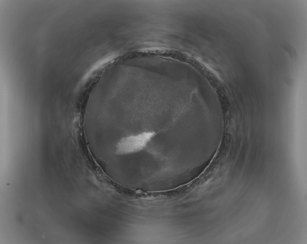 X0000113301351200910051033