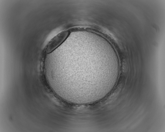 X0000113301352200910051033