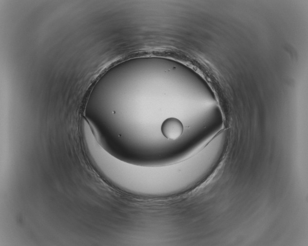 X0000113301353200910051033