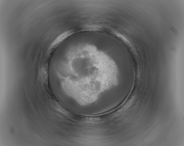 X0000113301354200910051033