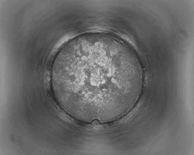 X0000113301355200910051033