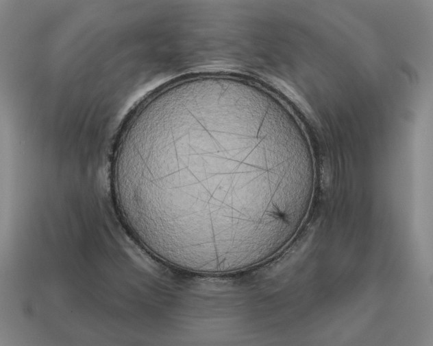 X0000113301356200910051033