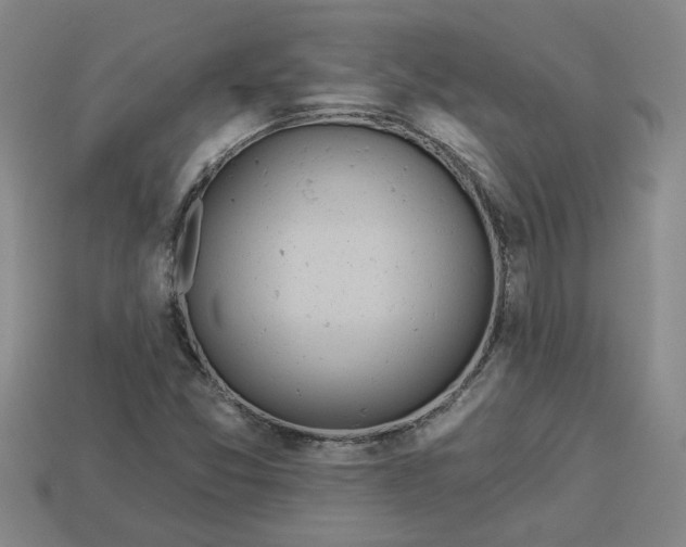 X0000113301357200910051033