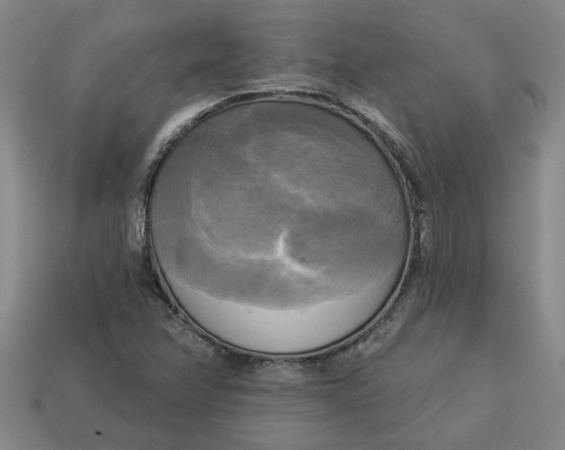 X0000113301358200910051033