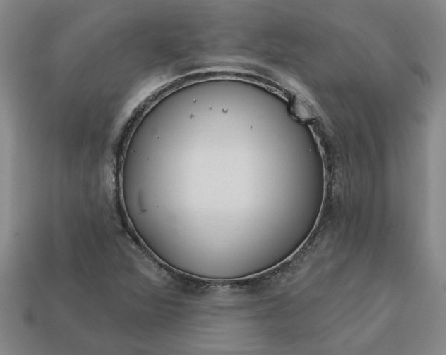 X0000113301360200910051033