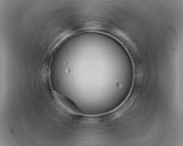 X0000113301361200910051033