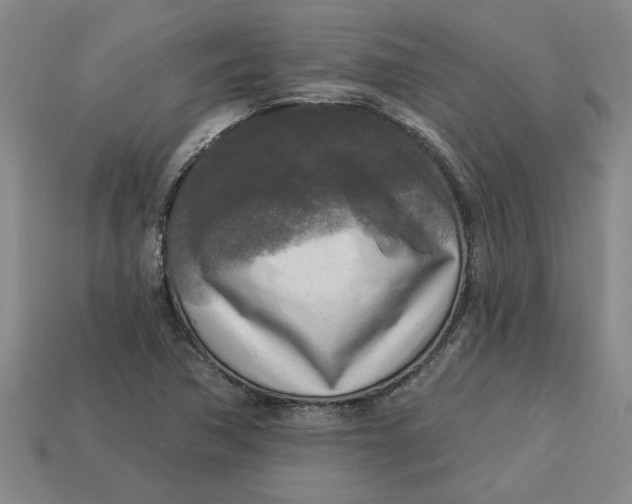 X0000113301362200910051033