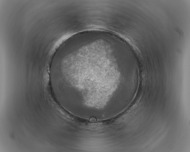 X0000113301363200910051033