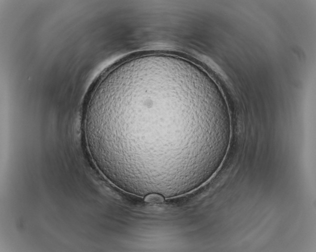 X0000113301364200910051033