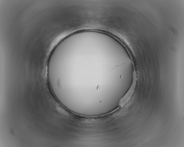 X0000113301366200910051033