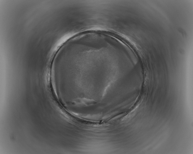 X0000113301367200910051033