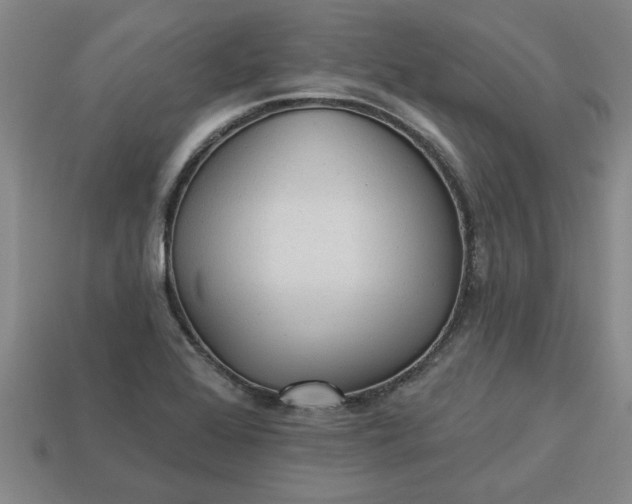 X0000113301368200910051033