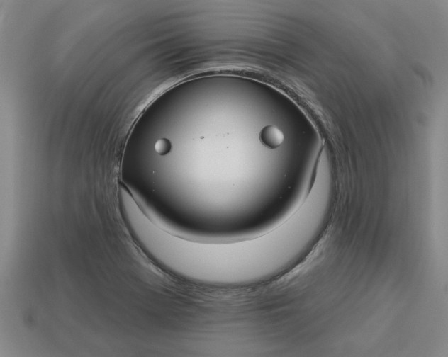 X0000113301369200910051033