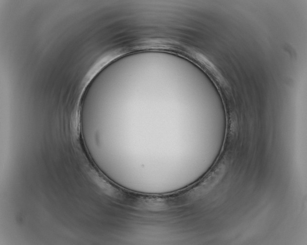 X0000113301370200910051033