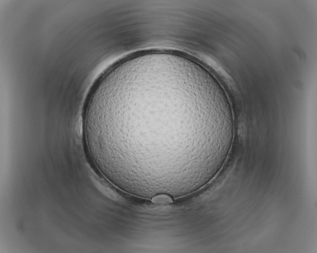 X0000113301372200910051033