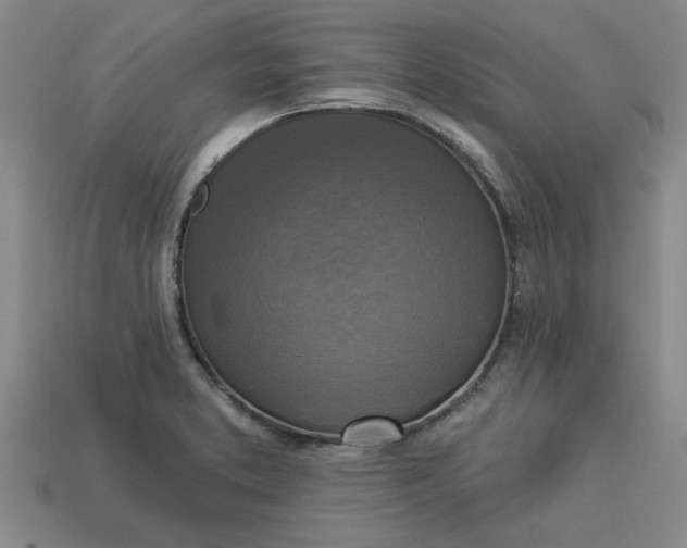 X0000113301373200910051033