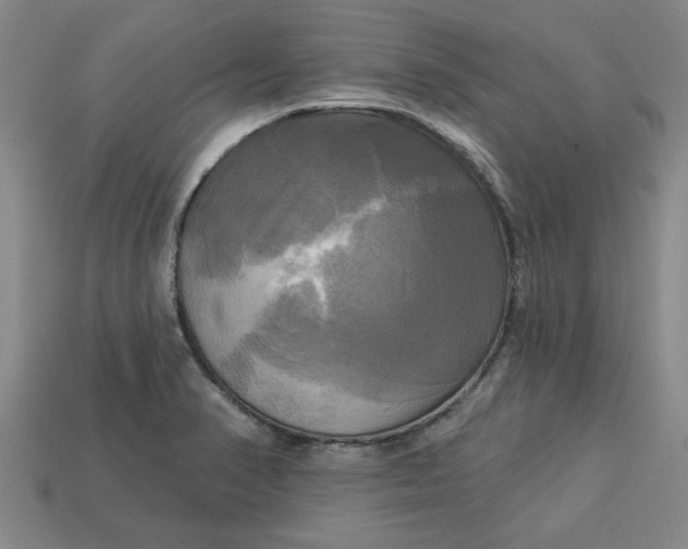 X0000113301374200910051033