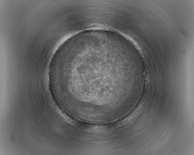 X0000113301375200910051033