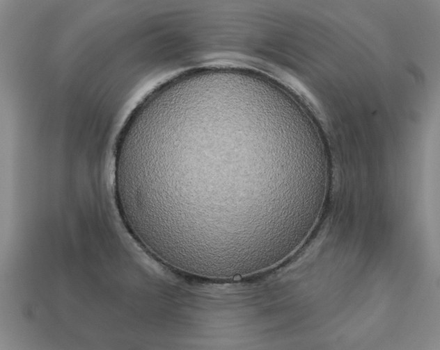 X0000113301376200910051033