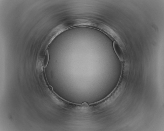 X0000113301377200910051033