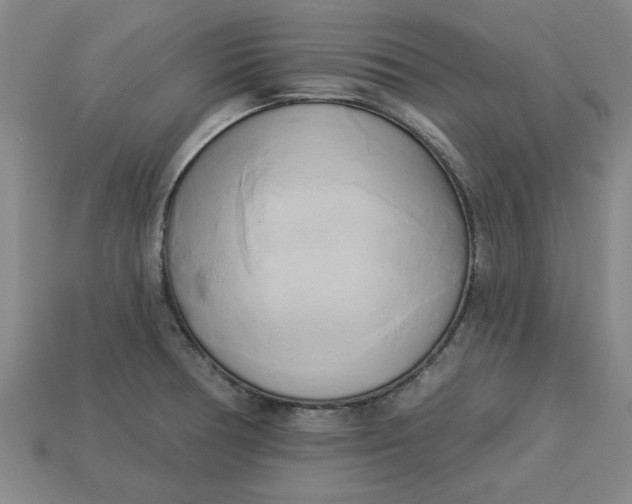 X0000113301378200910051033