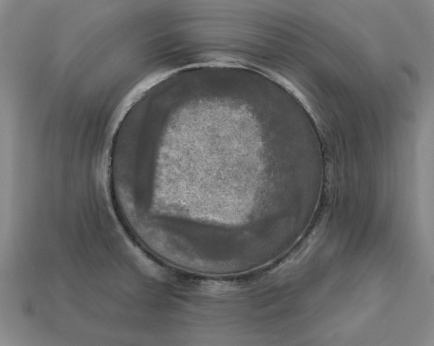 X0000113301379200910051033