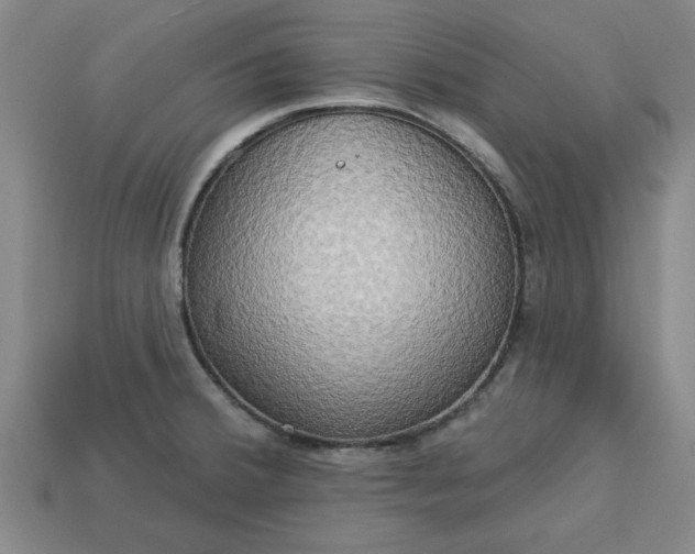 X0000113301380200910051033