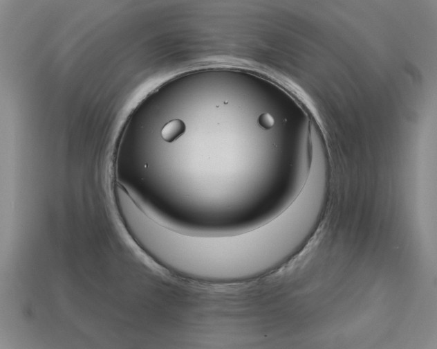 X0000113301381200910051033