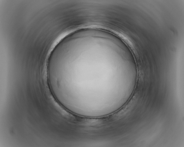 X0000113301382200910051033