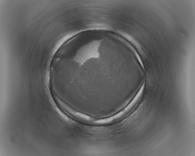 X0000113301383200910051033