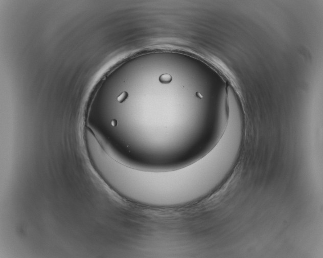 X0000113301384200910051033